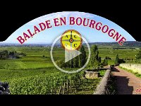 ACVC-Bourgogne